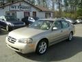 Sunlit Sand Metallic - Maxima SE Photo No. 1