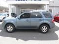 Steel Blue Metallic - Escape Limited 4WD Photo No. 4