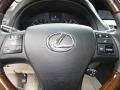 2010 Obsidian Black Lexus RX 350  photo #14