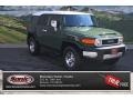 Army Green - FJ Cruiser 4WD Photo No. 1