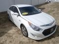 Porcelain White Pearl - Sonata Hybrid Photo No. 2