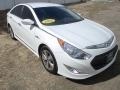 Porcelain White Pearl - Sonata Hybrid Photo No. 3