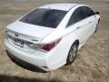 Porcelain White Pearl - Sonata Hybrid Photo No. 4