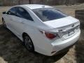Porcelain White Pearl - Sonata Hybrid Photo No. 5