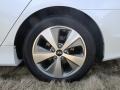 Porcelain White Pearl - Sonata Hybrid Photo No. 15
