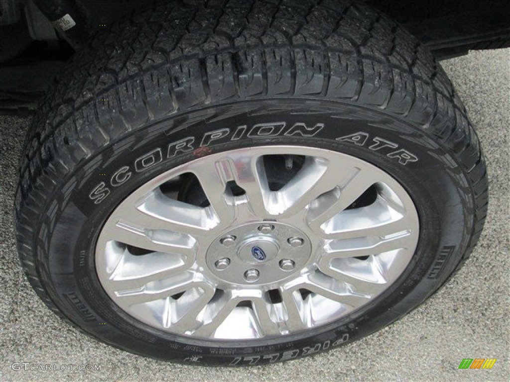 2010 Ford F150 Platinum SuperCrew 4x4 Wheel Photo #78844115