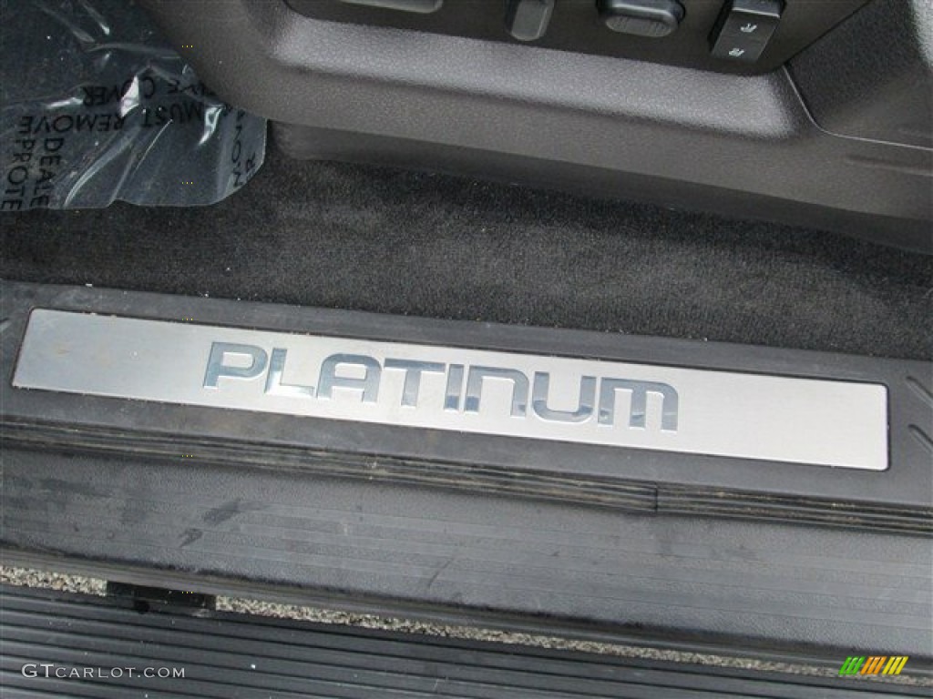 2010 F150 Platinum SuperCrew 4x4 - Sterling Grey Metallic / Sienna Brown Leather/Black photo #14