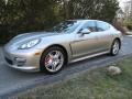 Platinum Silver Metallic 2010 Porsche Panamera 4S