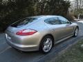 Platinum Silver Metallic - Panamera 4S Photo No. 6