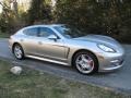 Platinum Silver Metallic - Panamera 4S Photo No. 8