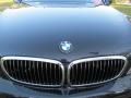 2006 Jet Black BMW 7 Series 750i Sedan  photo #61