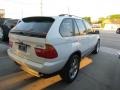 Alpine White - X5 3.0i Photo No. 4