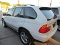 Alpine White - X5 3.0i Photo No. 6