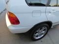Alpine White - X5 3.0i Photo No. 19