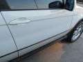 Alpine White - X5 3.0i Photo No. 21