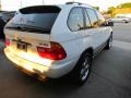 Alpine White - X5 3.0i Photo No. 31