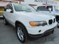 Alpine White - X5 3.0i Photo No. 33