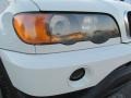 Alpine White - X5 3.0i Photo No. 34