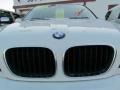 Alpine White - X5 3.0i Photo No. 35