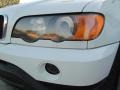 Alpine White - X5 3.0i Photo No. 36