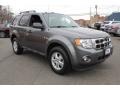 2011 Sterling Grey Metallic Ford Escape XLT  photo #7