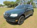 Venetian Green Metallic - Touareg V6 Photo No. 74