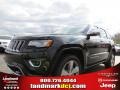 2014 Black Forest Green Pearl Jeep Grand Cherokee Overland 4x4  photo #1