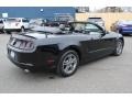 Black - Mustang V6 Premium Convertible Photo No. 18