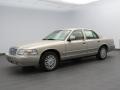 Silver Birch Metallic 2007 Mercury Grand Marquis LS Exterior