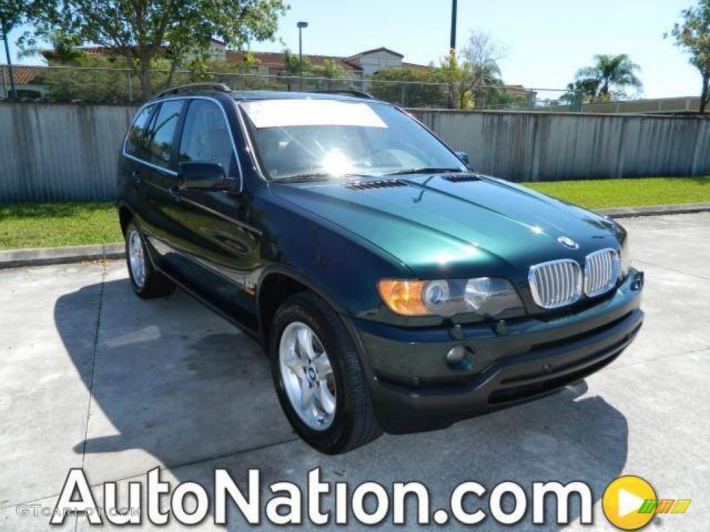 Oxford Green Metallic BMW X5