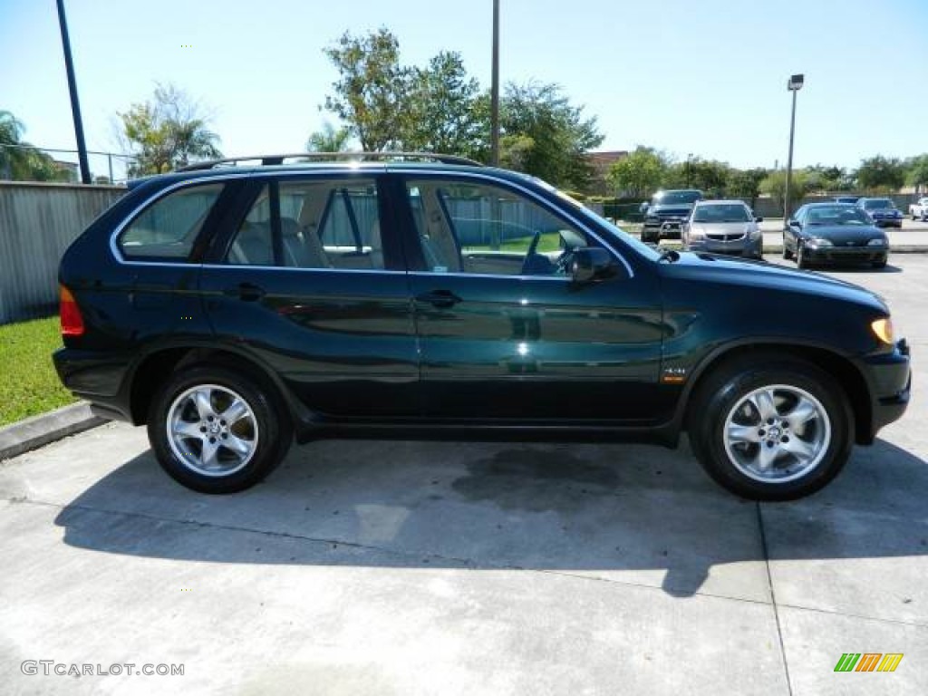 2003 X5 4.4i - Oxford Green Metallic / Beige photo #2