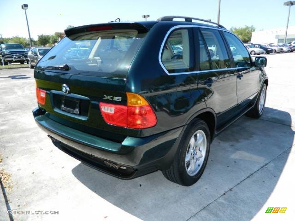 2003 X5 4.4i - Oxford Green Metallic / Beige photo #3