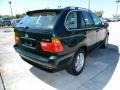 2003 Oxford Green Metallic BMW X5 4.4i  photo #3