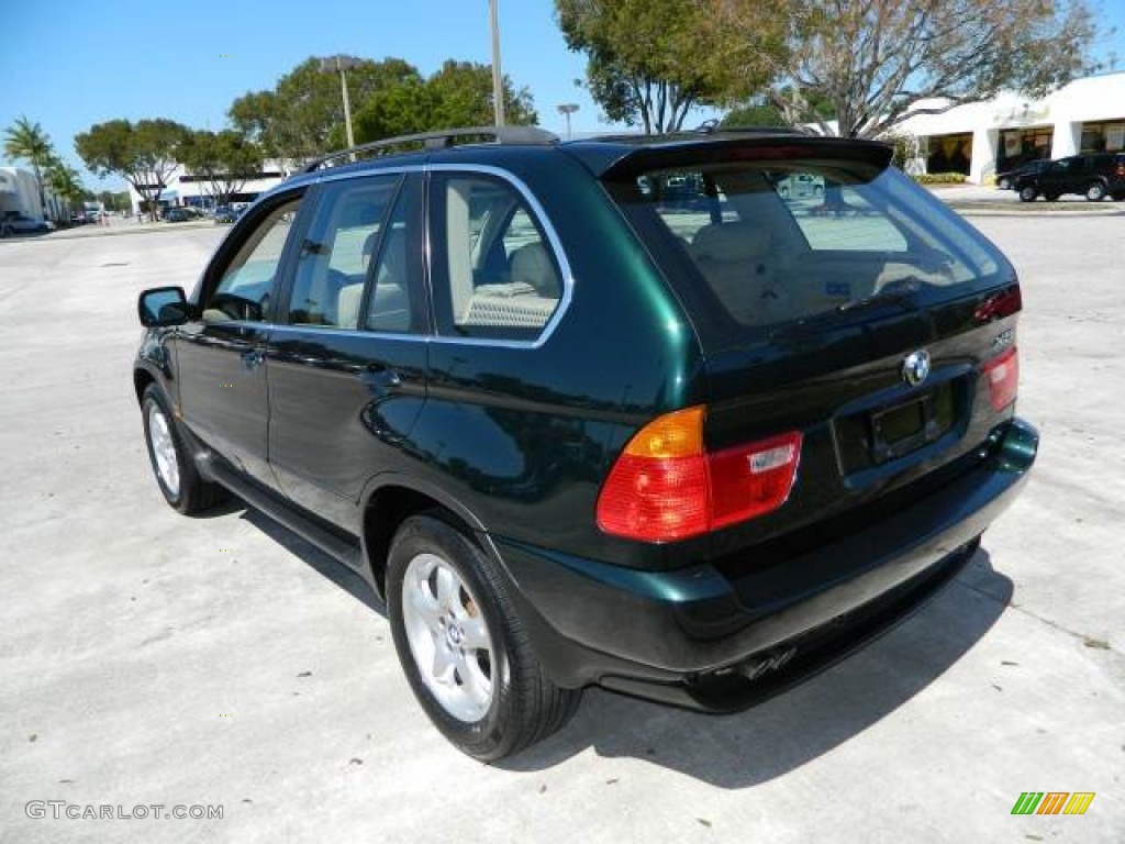 Oxford Green Metallic 2003 BMW X5 4.4i Exterior Photo #78867531