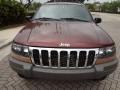 Sienna Pearlcoat - Grand Cherokee Laredo Photo No. 2