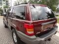 Sienna Pearlcoat - Grand Cherokee Laredo Photo No. 5