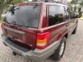 Sienna Pearlcoat - Grand Cherokee Laredo Photo No. 7