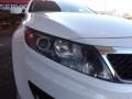 Snow White Pearl - Optima LX Photo No. 13