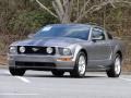 2007 Tungsten Grey Metallic Ford Mustang GT Premium Coupe  photo #13