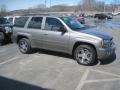 Graystone Metallic 2009 Chevrolet TrailBlazer LT 4x4 Exterior