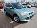 Frosted Glass Metallic 2013 Ford Escape SEL 2.0L EcoBoost