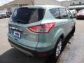 2013 Frosted Glass Metallic Ford Escape SEL 2.0L EcoBoost  photo #14