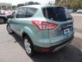 2013 Frosted Glass Metallic Ford Escape SEL 2.0L EcoBoost  photo #16