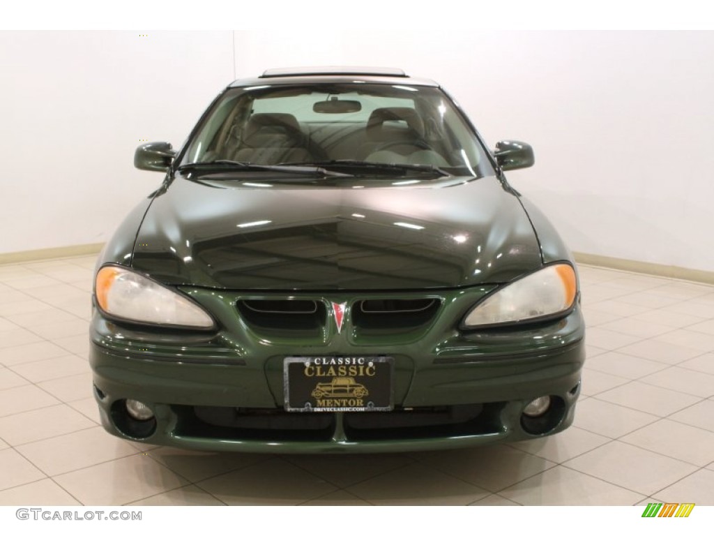2001 Grand Am GT Coupe - Spruce Green Metallic / Dark Pewter photo #2