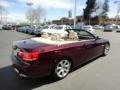 Barbera Red Metallic - 3 Series 335i Convertible Photo No. 9