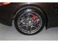 2011 Porsche Cayman S Wheel and Tire Photo