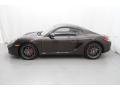 Macadamia Metallic 2011 Porsche Cayman S Exterior