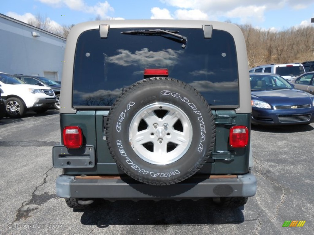 2004 Wrangler Sport 4x4 - Shale Green Metallic / Khaki photo #6