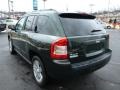 2010 Natural Green Pearl Jeep Compass Sport 4x4  photo #5
