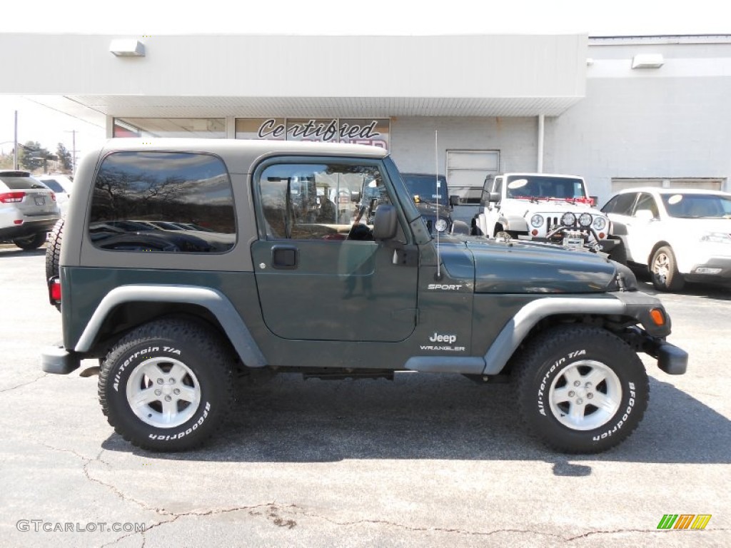 2004 Wrangler Sport 4x4 - Shale Green Metallic / Khaki photo #8
